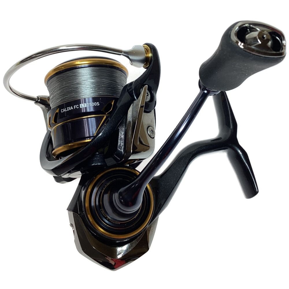 DAIWA ダイワ 21カルディア FC LT2500S 3063152 - メルカリ