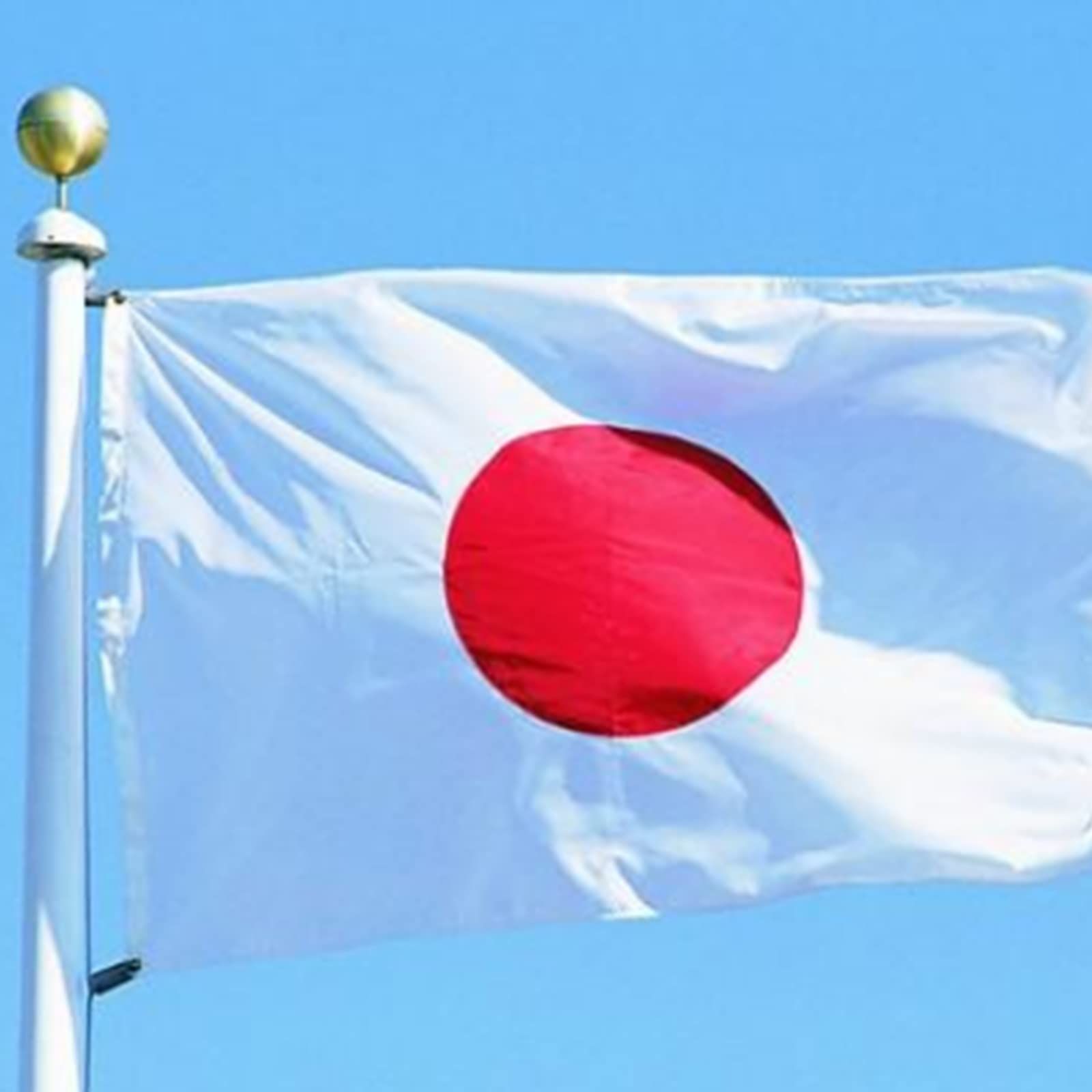 日の丸　日本国旗　サンポール　旗 手持ち 日本国旗 1本 フラッグポール付き 日の丸 旗 8号 （14cm