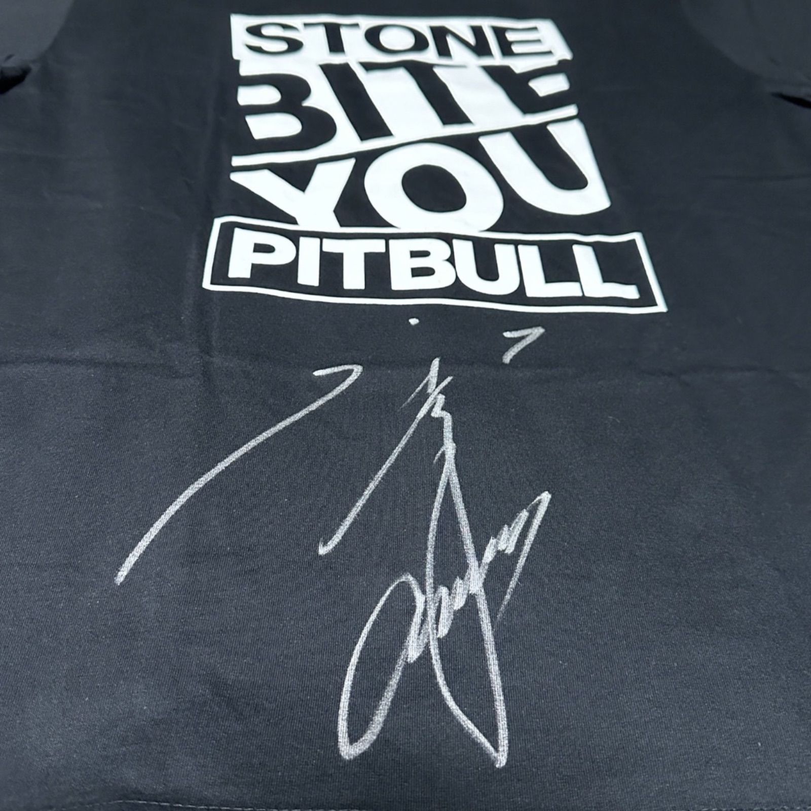 未使用品】新日本プロレス 石井智宏 「STONE PITBULL ワード」直筆 