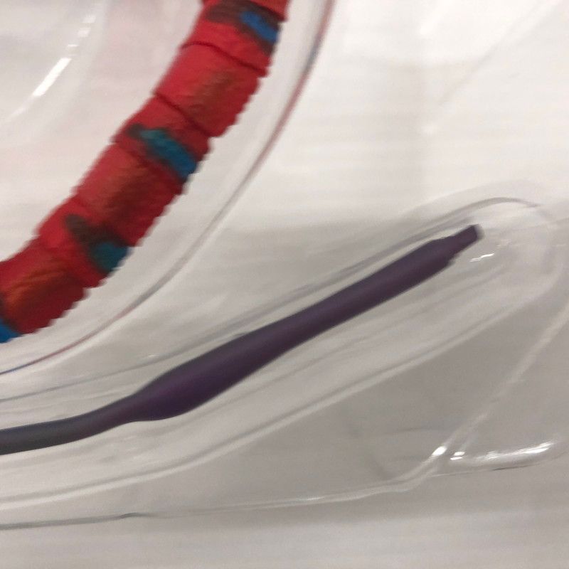 いきもの大図鑑 パンサーカメレオン