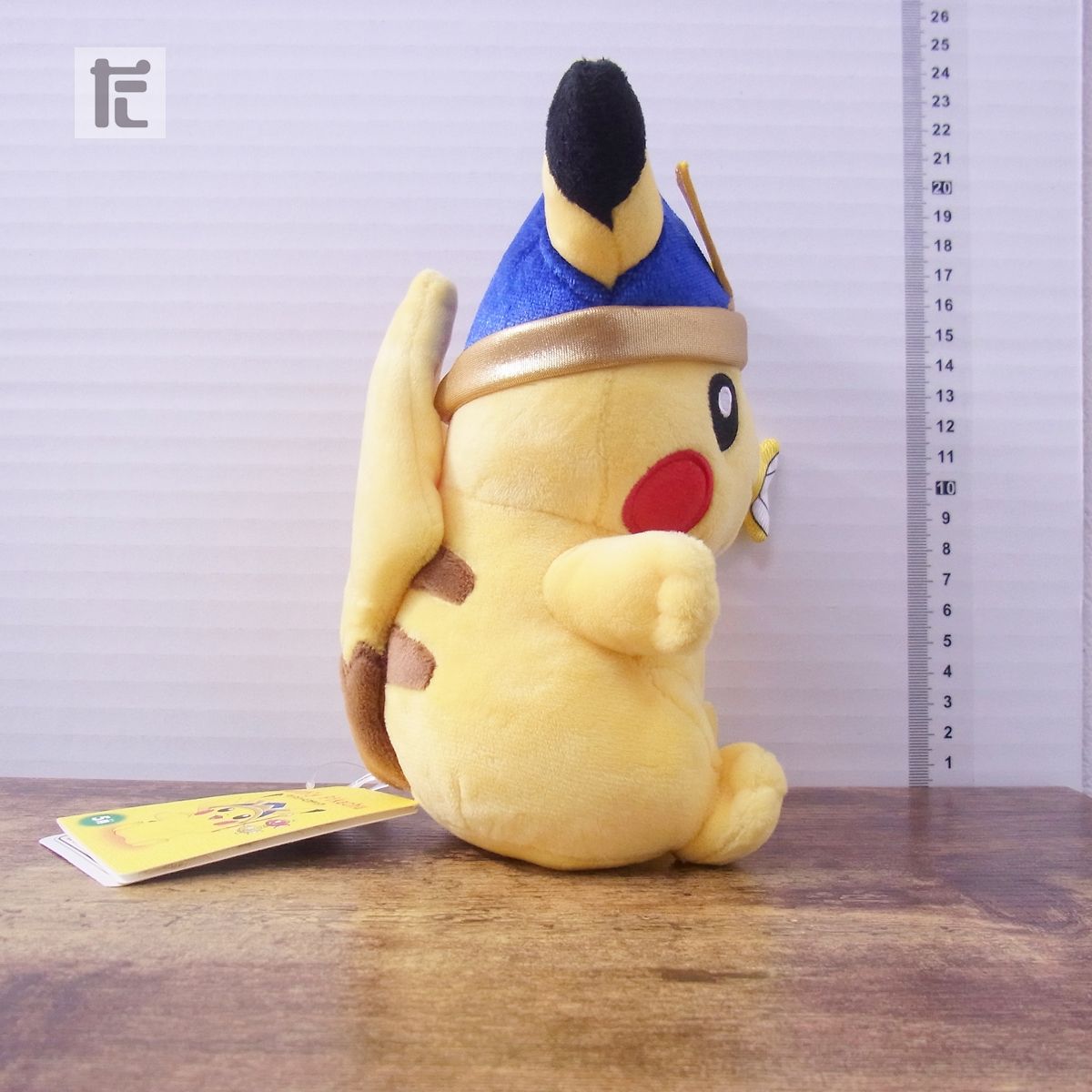 ポケモンセンターオリジナル ぬいぐるみ マンスリーピカチュウ　2015年5月 ポケモンセンターオリジナル ぬいぐるみ マンスリーピカチュウ