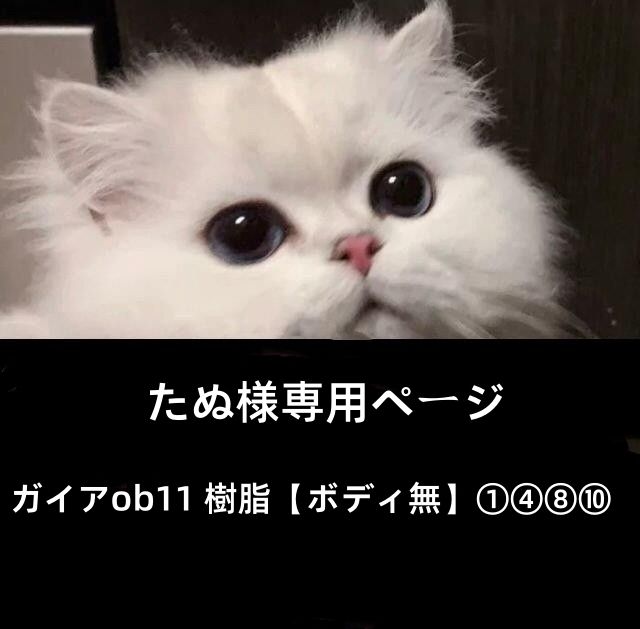 91177644_5