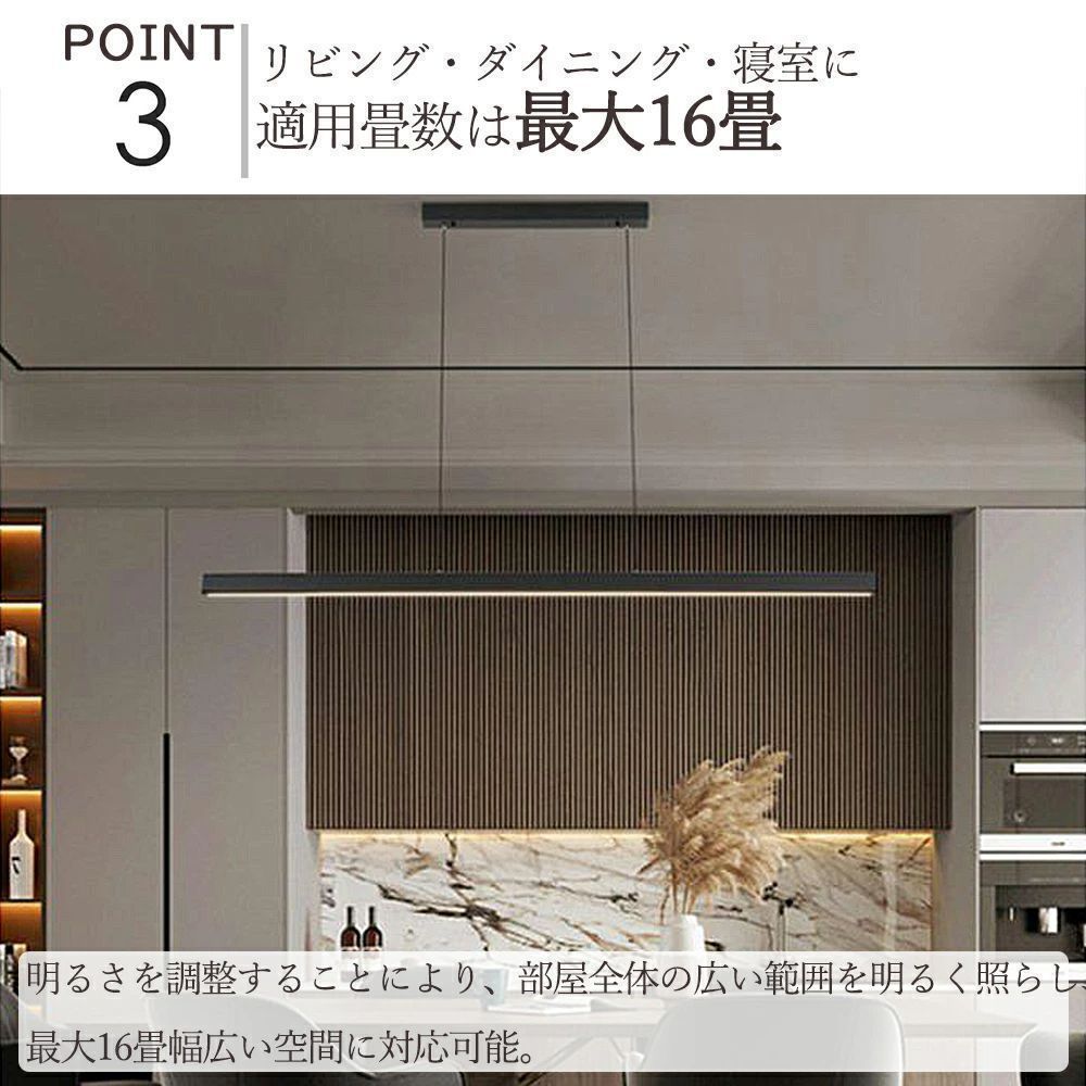 天井照明 北