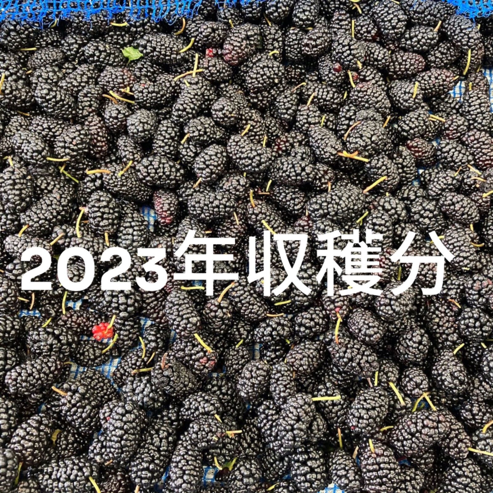 身体の芯まで温まる】セラミックボール ホットパック 2kg｜腰痛・寝つき改善 身体の芯まで温まる】セラミックボール ホットパック 2kg｜腰痛