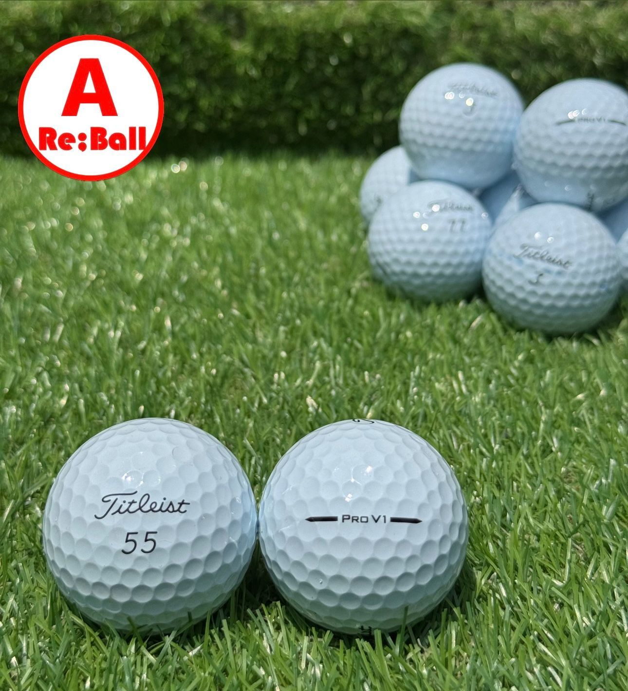 2025 titleist(タイトリスト) PROV1 プロV1 白 2ダース 2025 TITLEIST