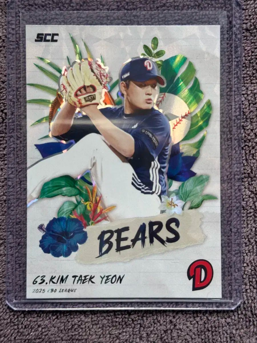 2929 有田焼 松文皿 5客 2929 有田焼 松文皿 5客 未使用 2929 有田焼