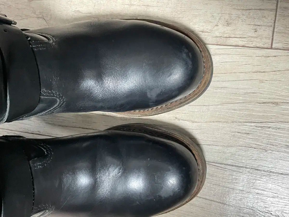 WING レッドウィング