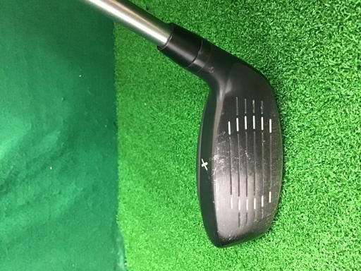 PXG 0317X