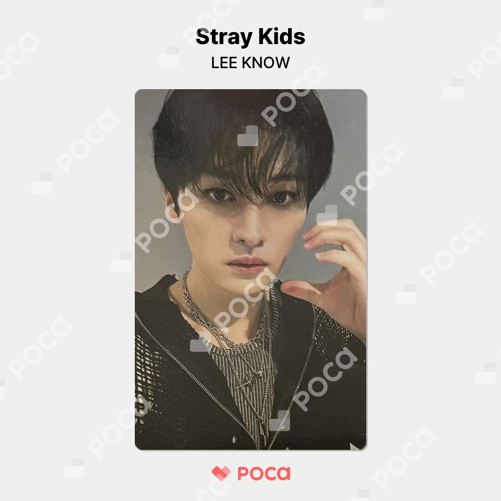 straykids リノ スキズ トレカ Stray Kids World Tour dominATE