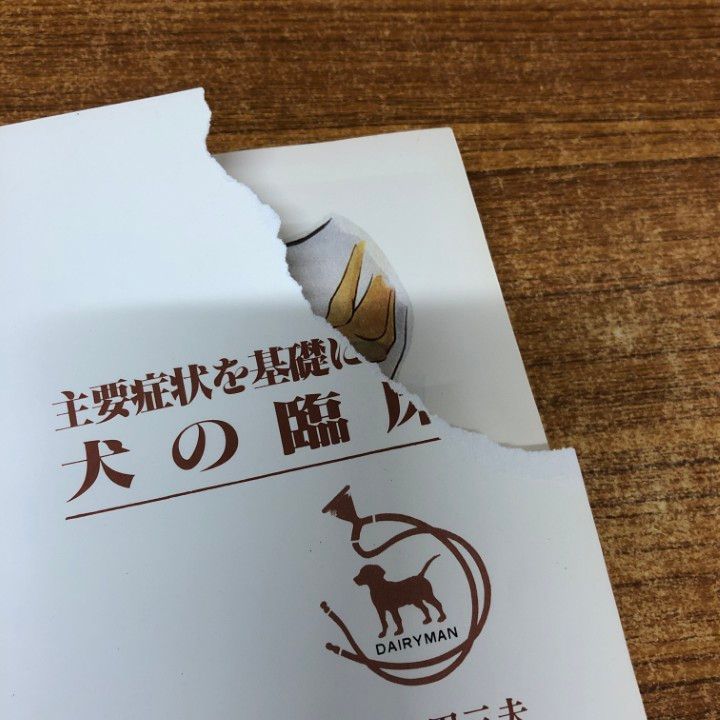 □04)【1点限り!】獣医学関連本まとめ売り約75冊大量セット/小動物