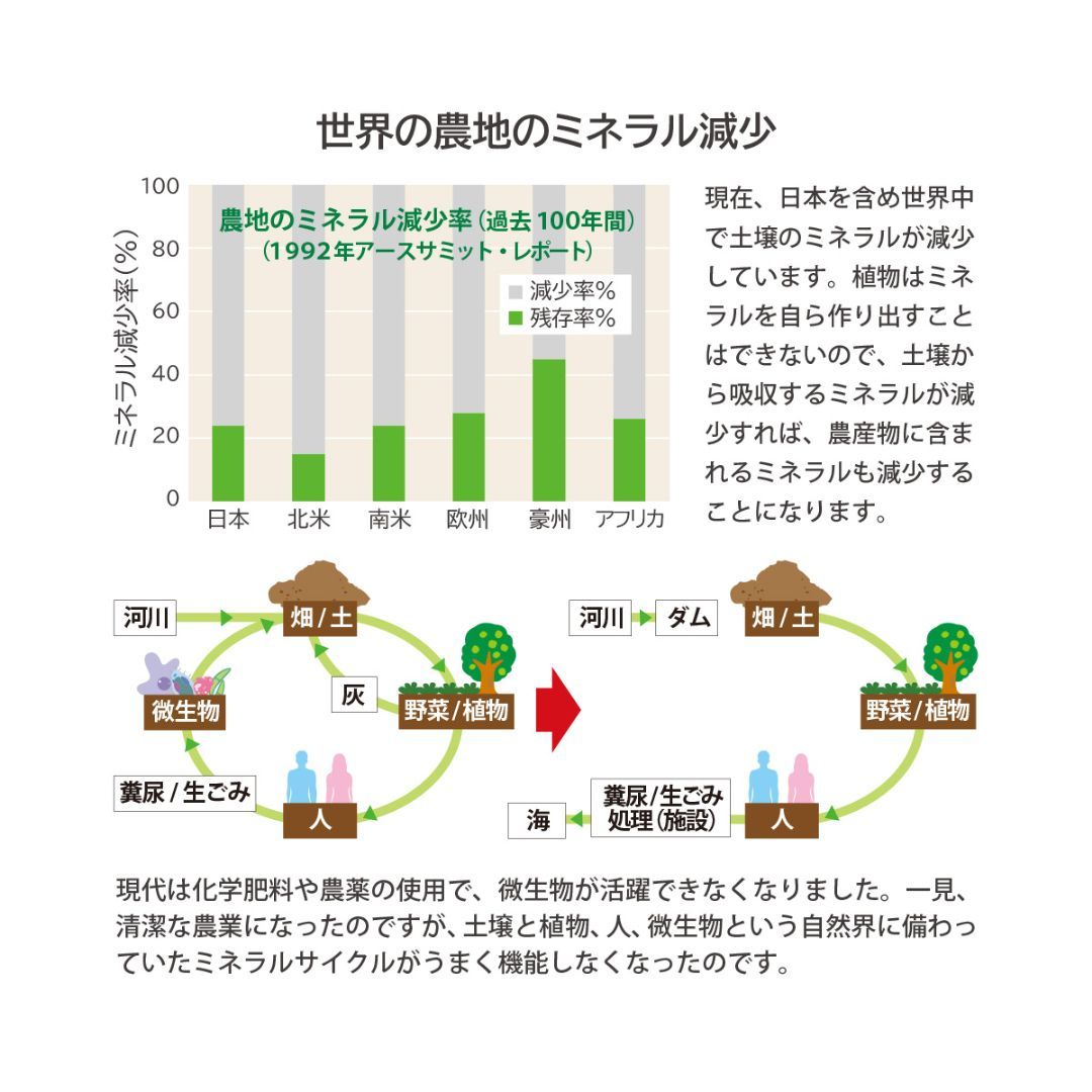 U&I JAPAN 植物ミネラル水 1000mL マルチミネラル フルボ酸 - U&I