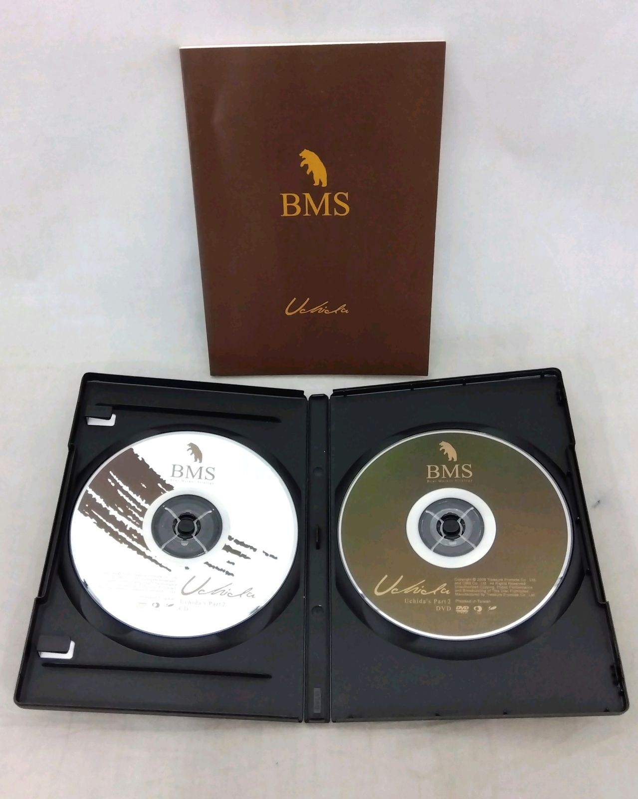 BMS ベアマーケットストラテジー 下げ相場だから勝つ！内田トレード戦略 本 BMS ベアマーケットストラテジー 下げ相場だから勝つ！内田トレード戦略