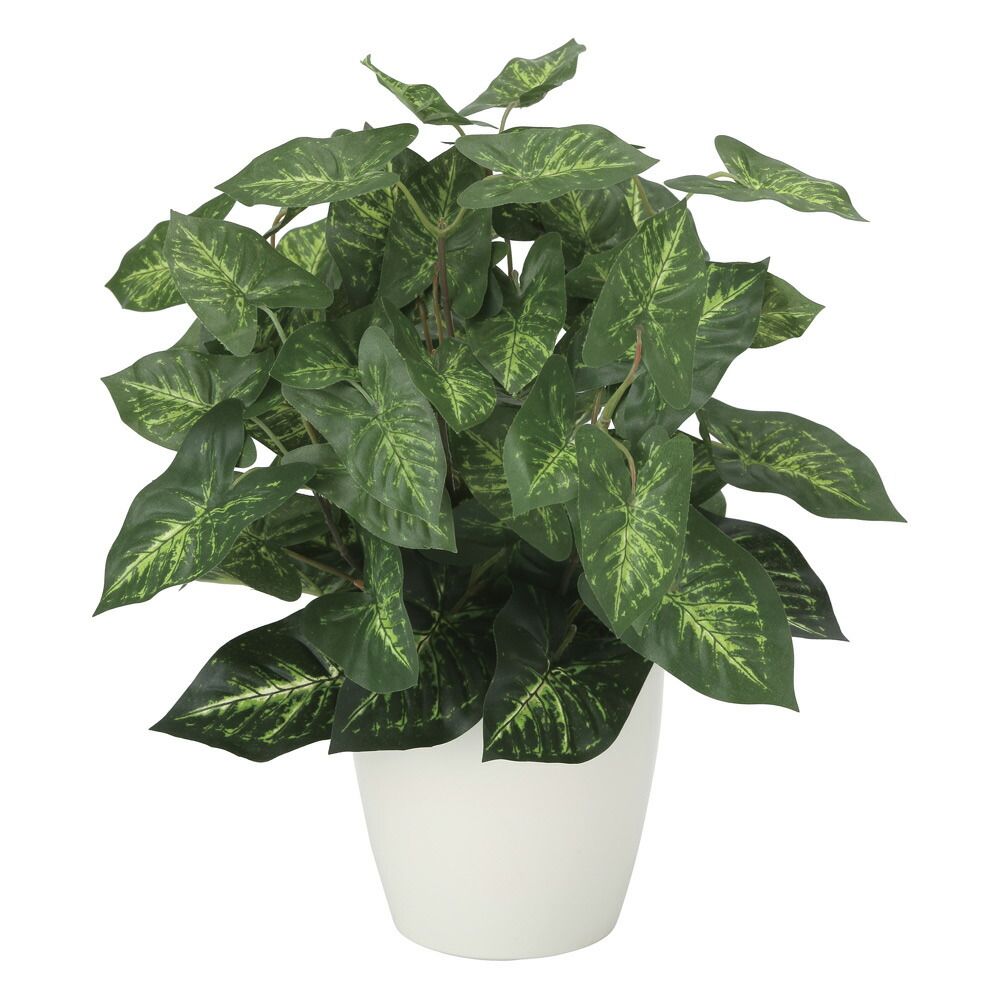 光触媒観葉植物 カラジュームM 〔テーブルタイプ〕 インテリア フェイクグリーン おしゃれ アートグリーン 緑 リビング 鉢植え プレゼント ギフト 玄関 キッチン 部屋に飾る 御祝 店舗 オフ