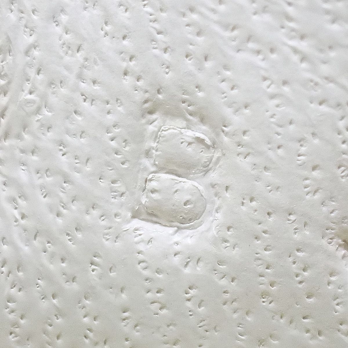 HERMES(エルメス) ロデオチャームPM ライム/クレ/セサミ イエロー黄  