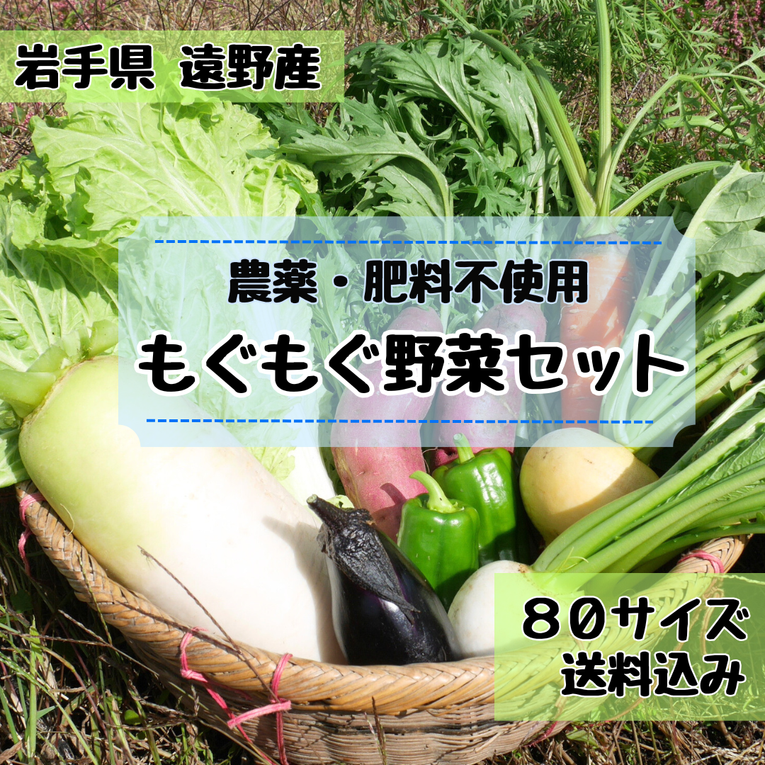 \\農家直送 子どもも喜ぶ野菜//新鮮野菜セット 野菜詰め合わせ 80サイズ《無農薬・無肥料》