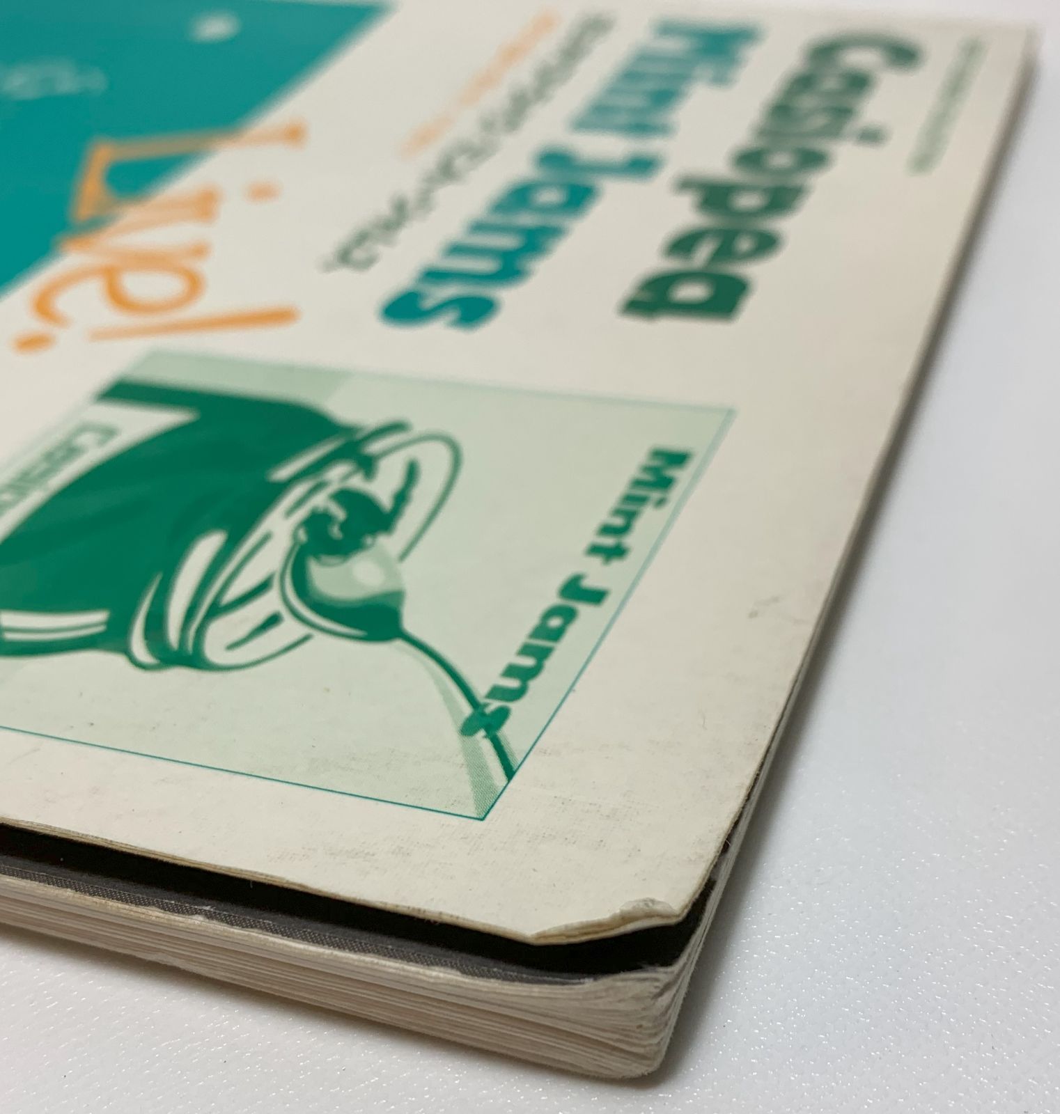 カシオペア CASIOPEA バンドスコア ／ミントジャムズ Mint Jams