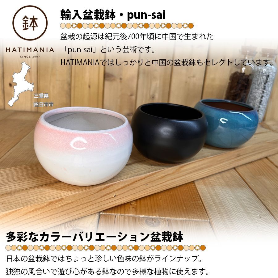 HATIMANIA 鉢マニア 丸 3.5号 盆栽鉢 水が抜けやすい 小さい 小