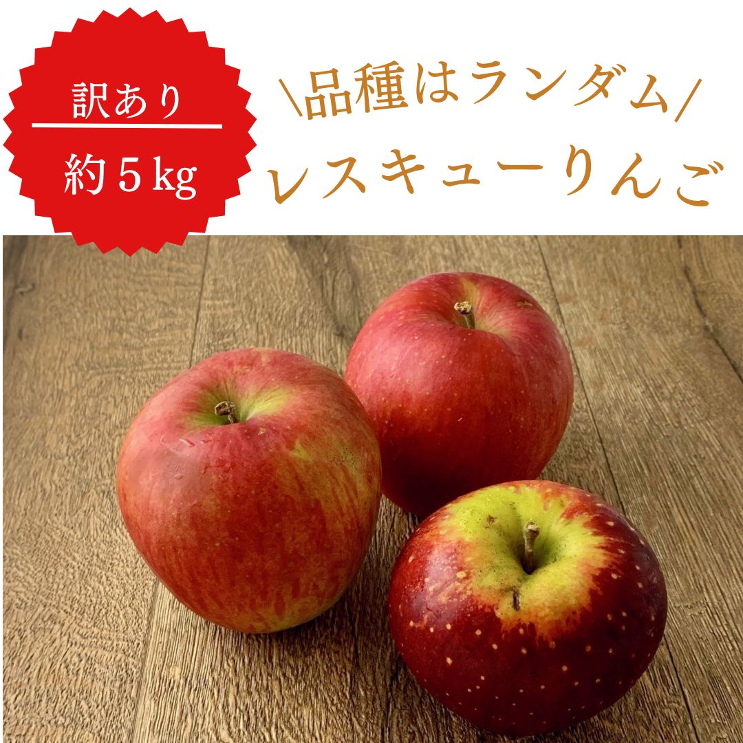 訳ありレスキューりんご　長野県産　品種おまかせ　メルカリ　約5kg　フルーツ【順次出荷】　家庭用　果物