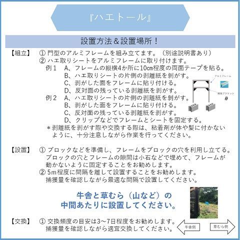 山羊