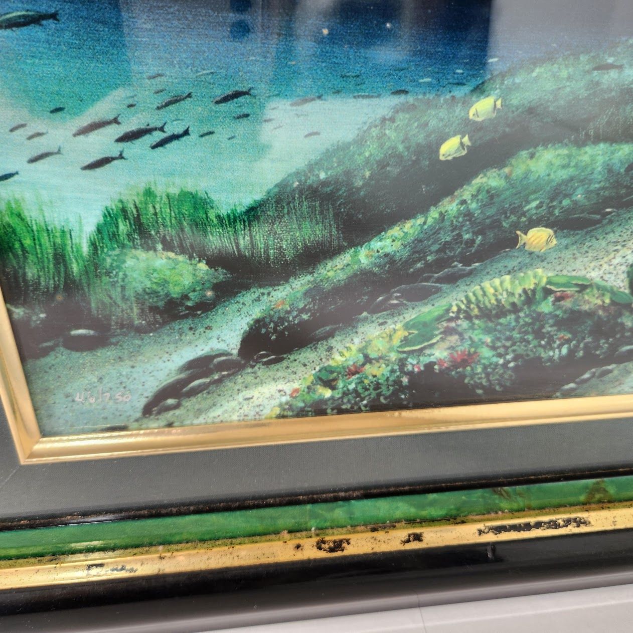 ワイランド Robert