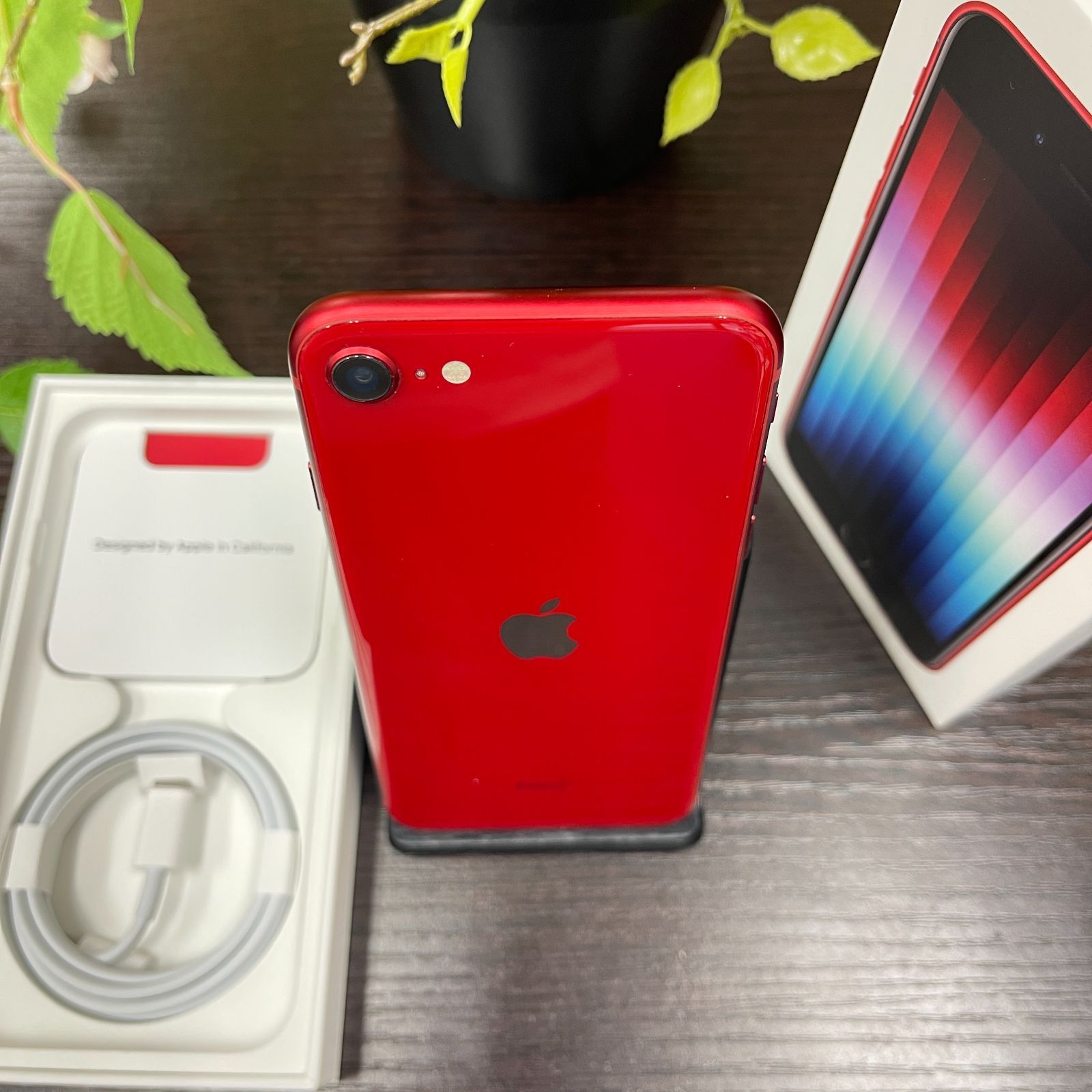 iPhone SE(第3世代) 64GB レッド 国内SIMフリー 送料無料 64GB iPhone