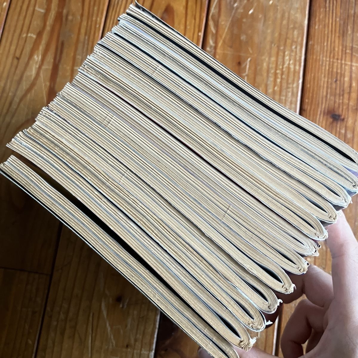 面白半分 1978?79年刊行号 12冊セット 井上ひさし/筒井康隆/半村良編集