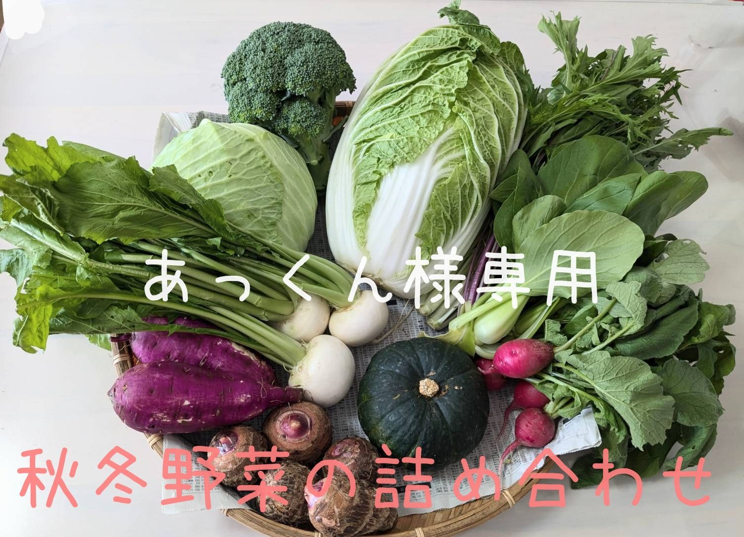 キャベツさま専用 キャベツさま専用 【公式通販】