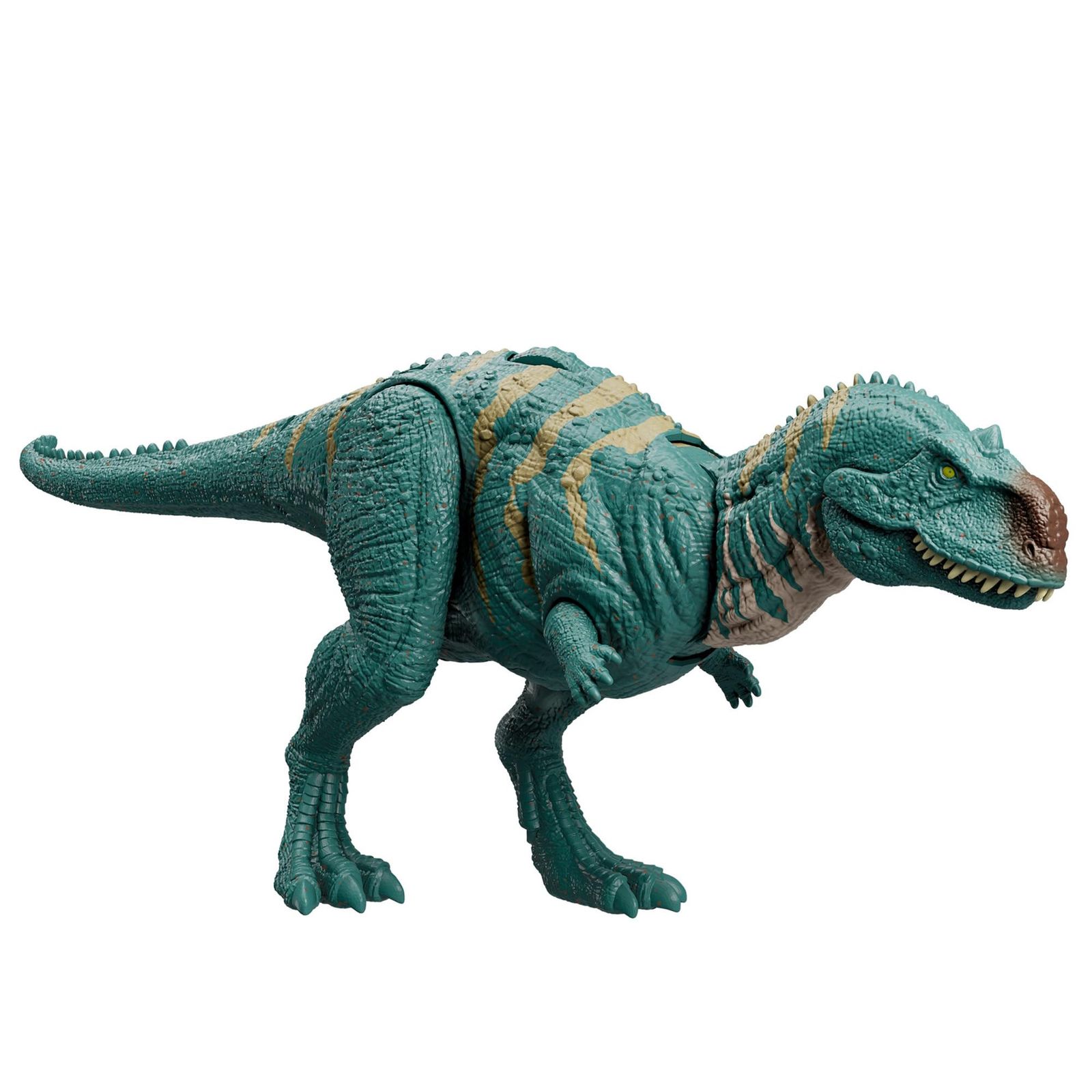 マテル ジュラシックワールド(JURASSIC WORLD) アクションフィギュア ほえる！マジュンガサウルス(メジャー) 子供向けフィギュア 恐竜 おもちゃ 全長:約32.8cm 4歳から グリーン HTK76 