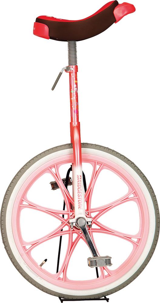 エバニュー Evernew メーカー直送品 一輪車 エアタイヤ 20 EKD344 120 ピンク