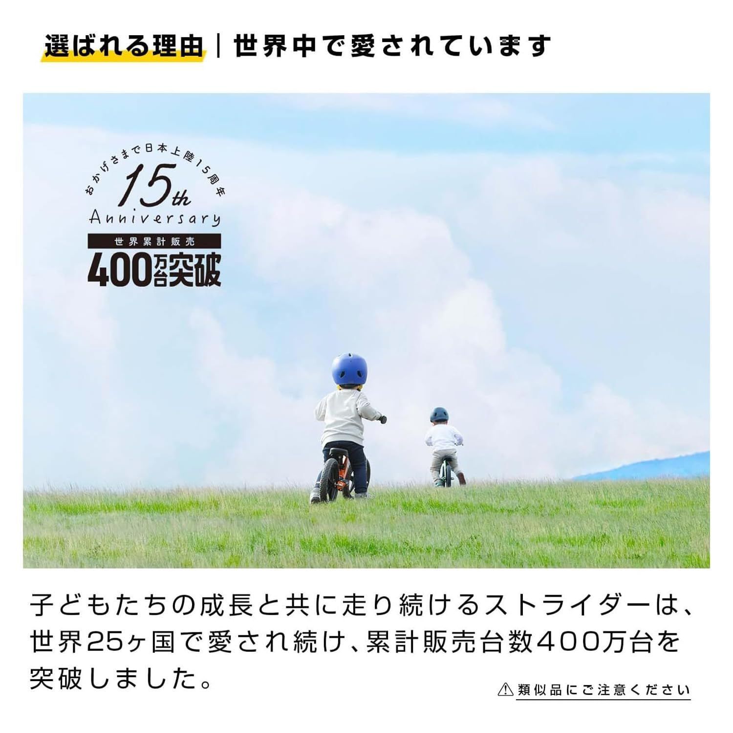 12インチ Pro