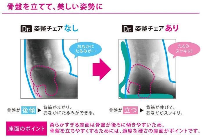 売りショップ 専門家と座り姿勢を徹底検証「Dr.姿整チェア」 【公式通販】