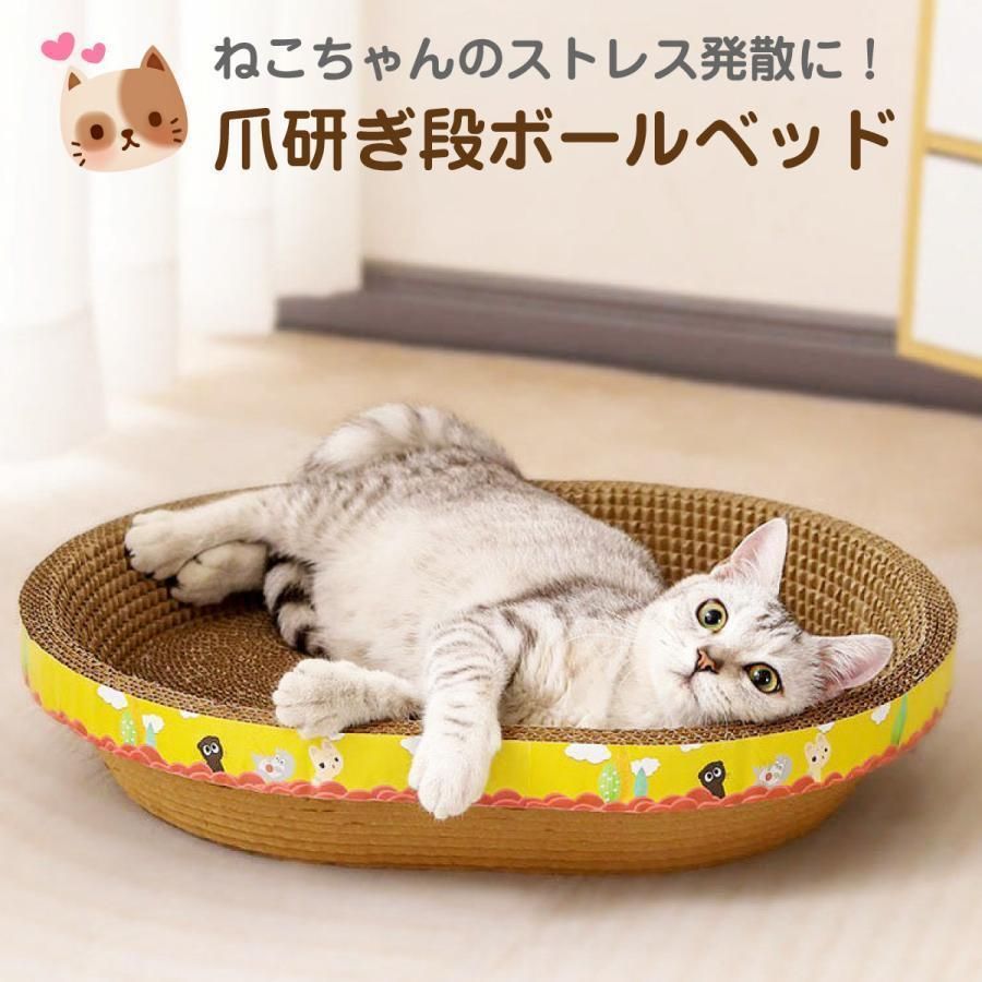 猫美(^-^)/ページ♡︎ Girls2025 1月26日発売！ #artbook事務局 | TikTok