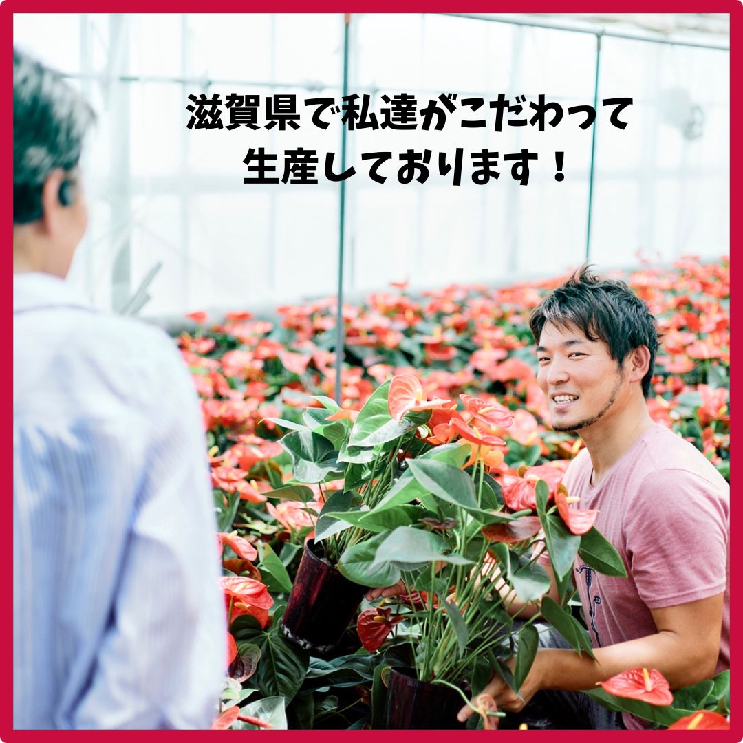 のサムネイル