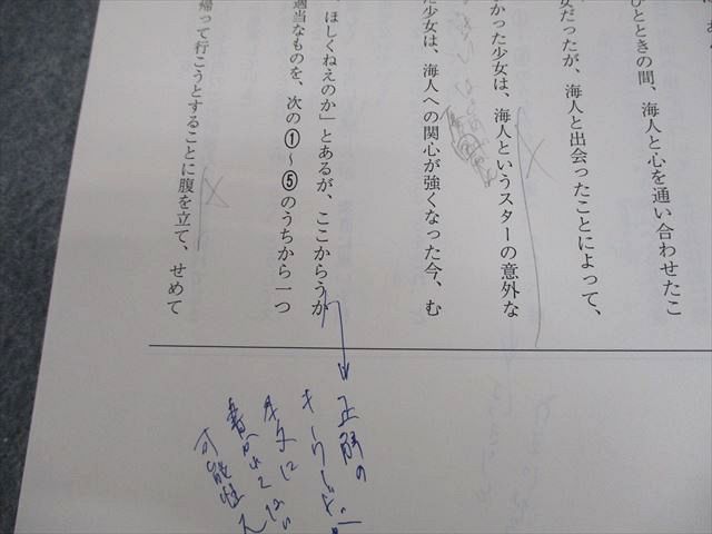 駿台 現代文 読解の応用講義 テキスト 2024 中野芳樹 008m0D