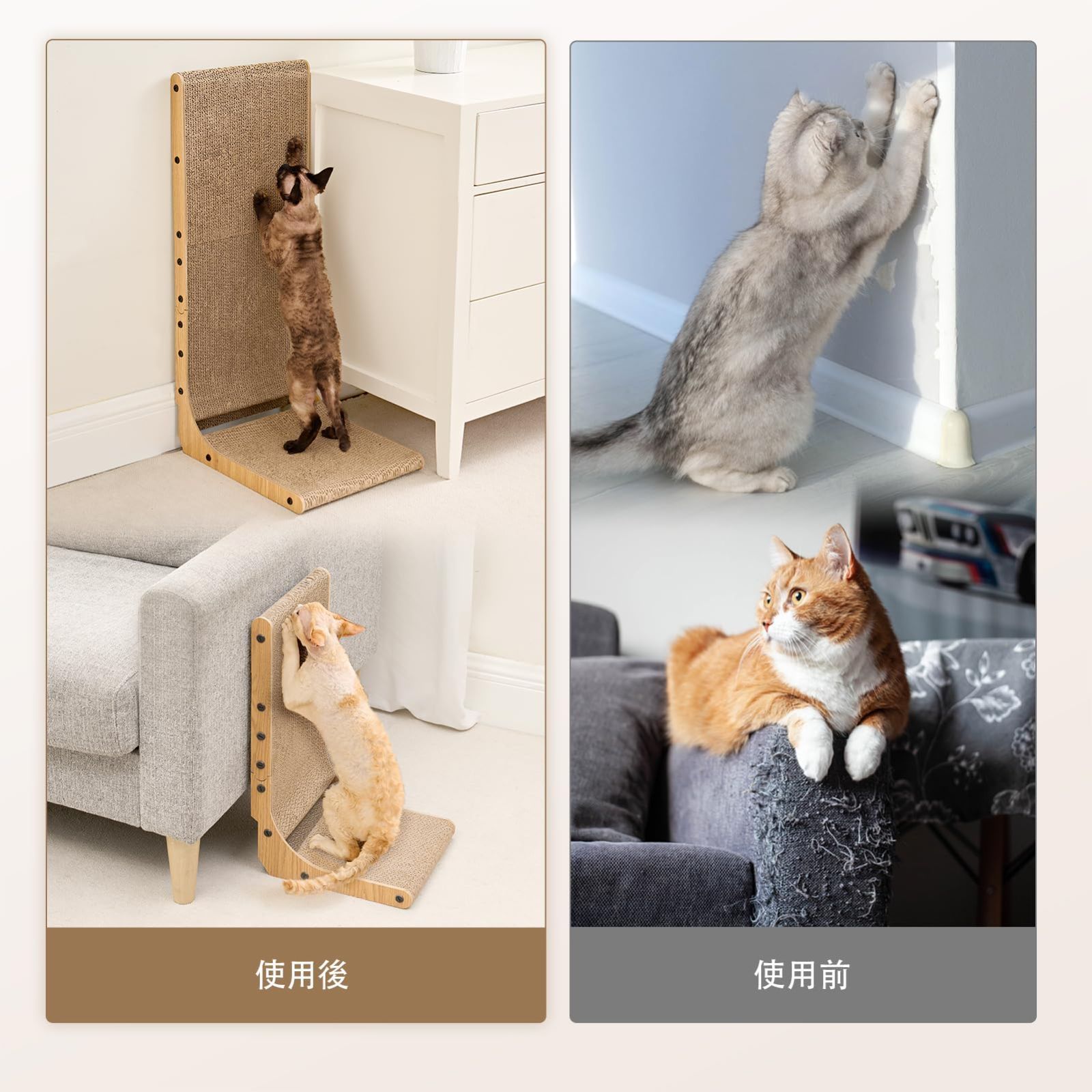 売切注意
