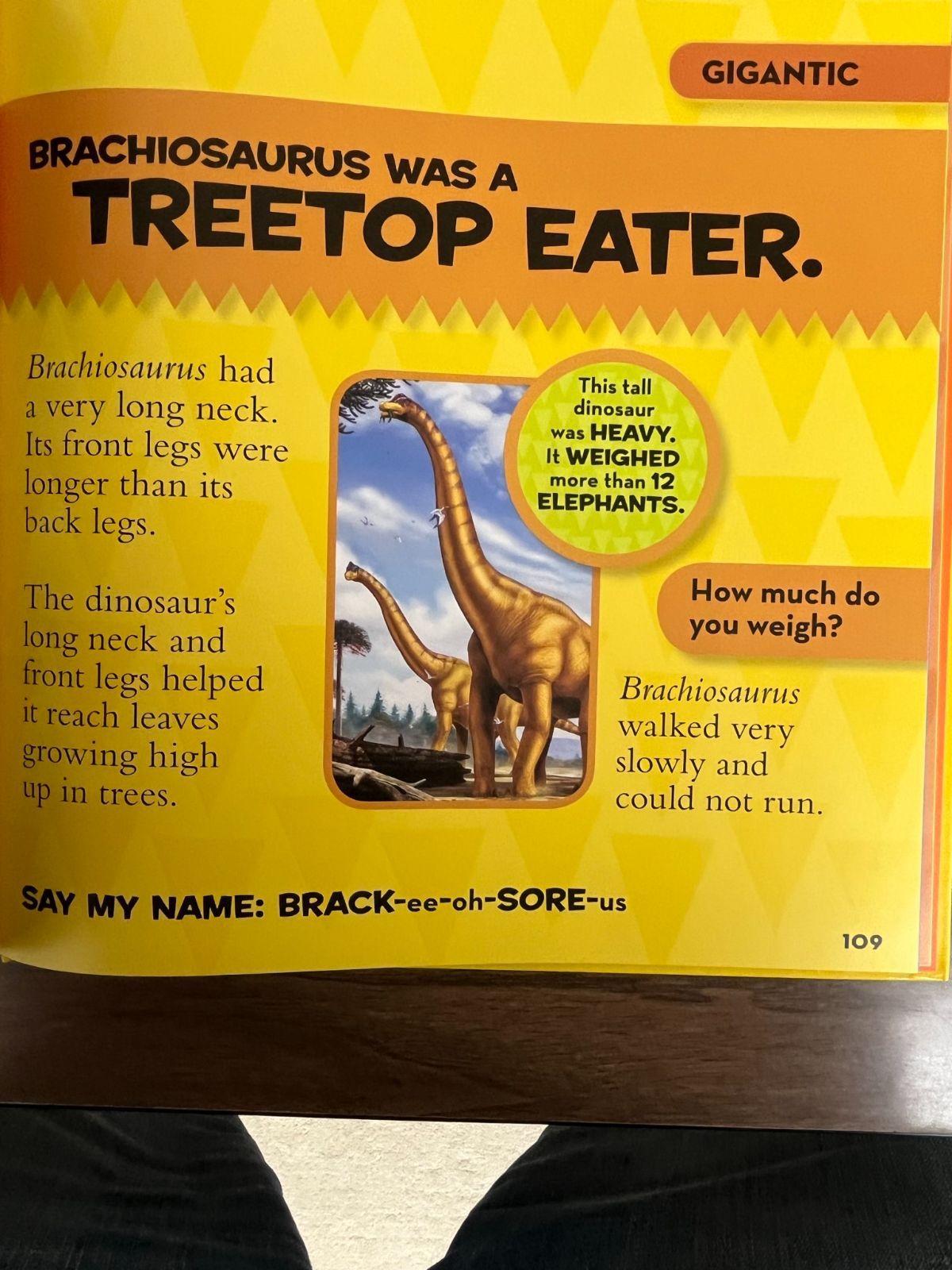 National Geographic Little Kids First Big Book of Dinosaurs