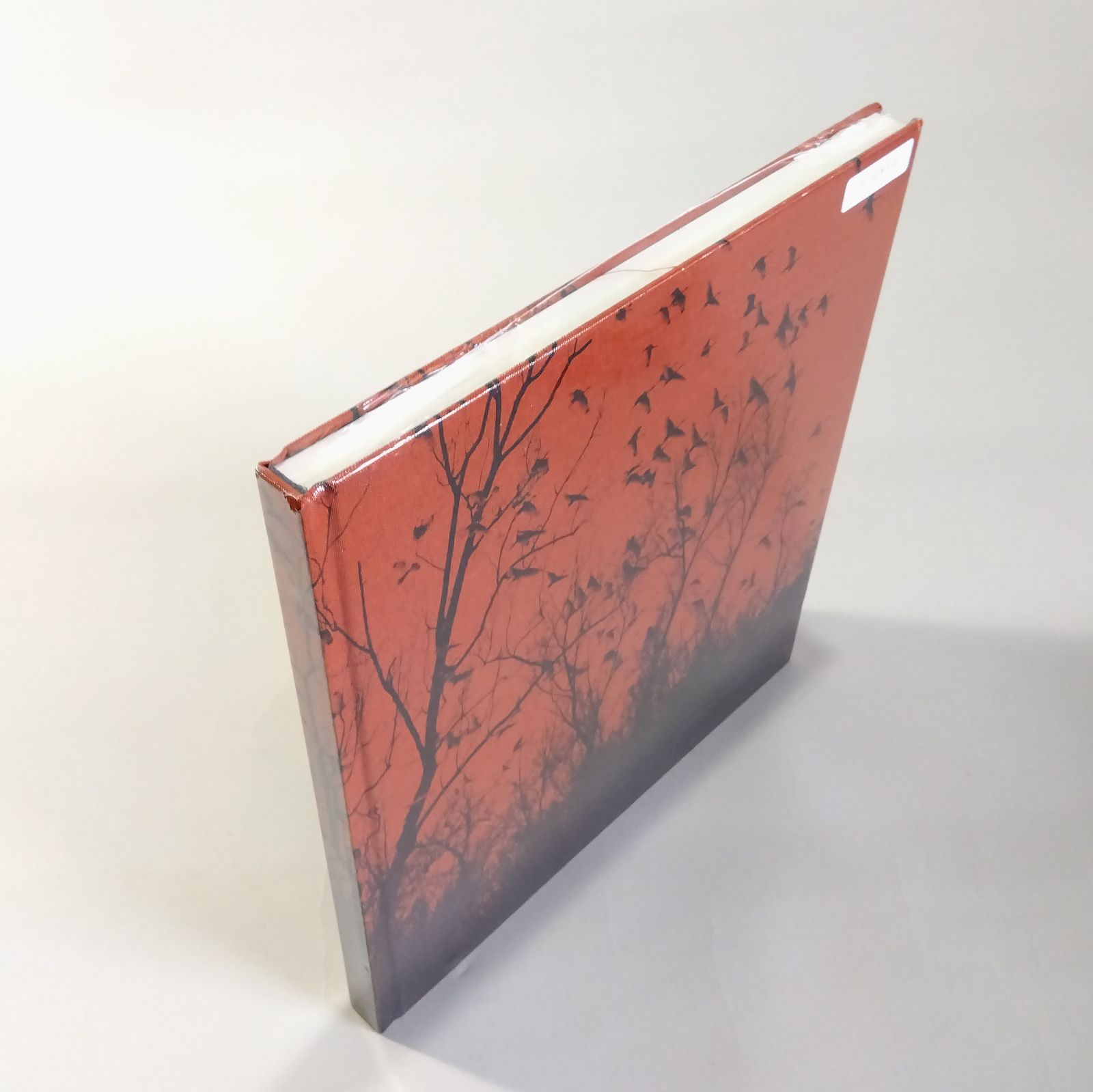 洋書 Lord of the Banquet Narrative Fortress Pr Moessner， David P