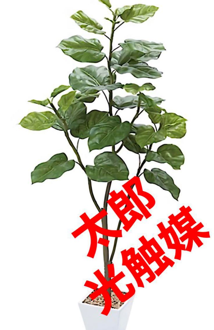 光触媒 人工観葉植物 ウォールグリーン フェイク ウンベラータ120