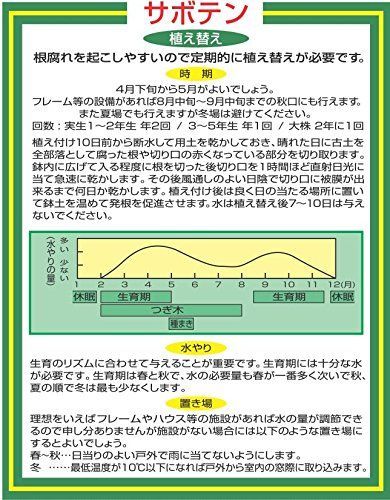 【人気商品】平和 サボテンの培養土 5リットル