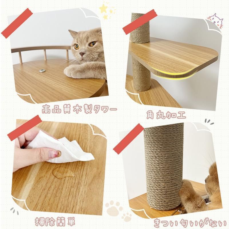 太った猫に特別設計