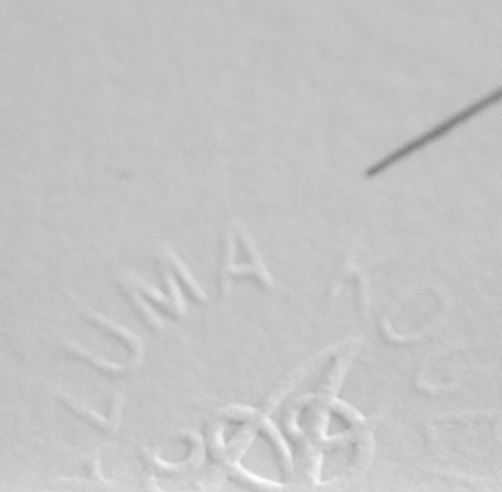 ポインセチアと少女 リトグラフ