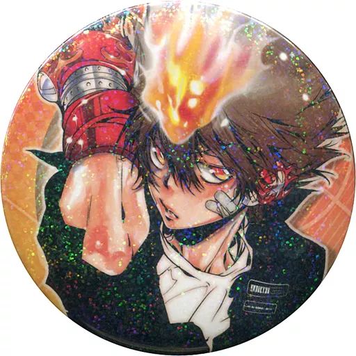 中古】バッジ・ピンズ(キャラクター) 【レア】 沢田綱吉(グローブ