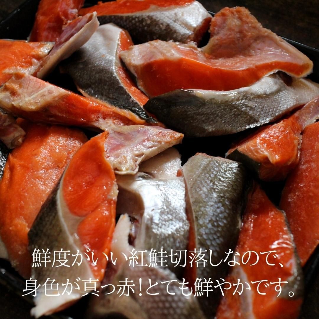 天然紅鮭切り落とし 1.2kg(300g×4) べにさけ ベニサケ 中辛 切落し 特大 規格外 訳あり BBQ コスパ 鮭 - ざこばの朝市 ...