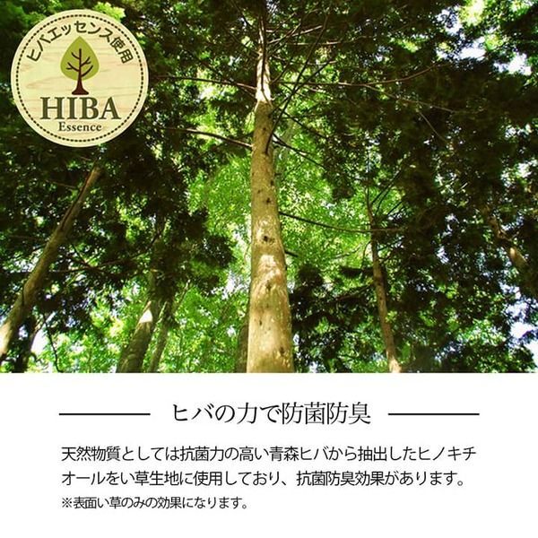 い草ラグ 花ござ カーペット 格子柄 ナチュラル シンプル 和室 洋室 裏不織布滑り止め 滑りにくい 抗菌防臭 消臭 本間6畳(約286×382cm) レイクブルー