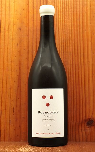 ブルゴーニュ アリゴテ ジュンヌ ヴィーニュ 2022 アントワーヌ