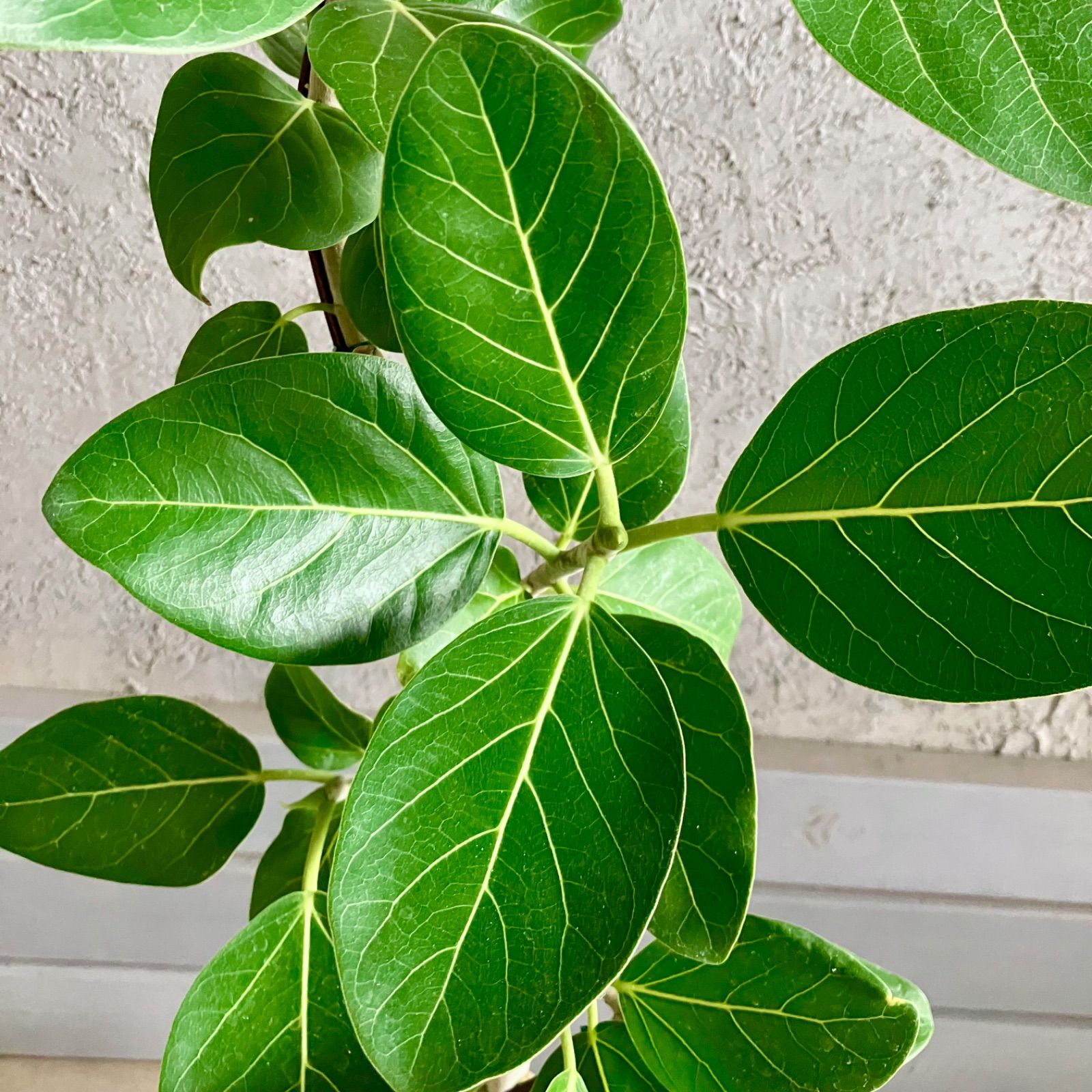 アンティーク風