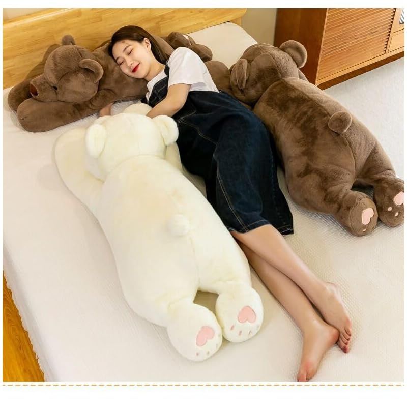 動物
