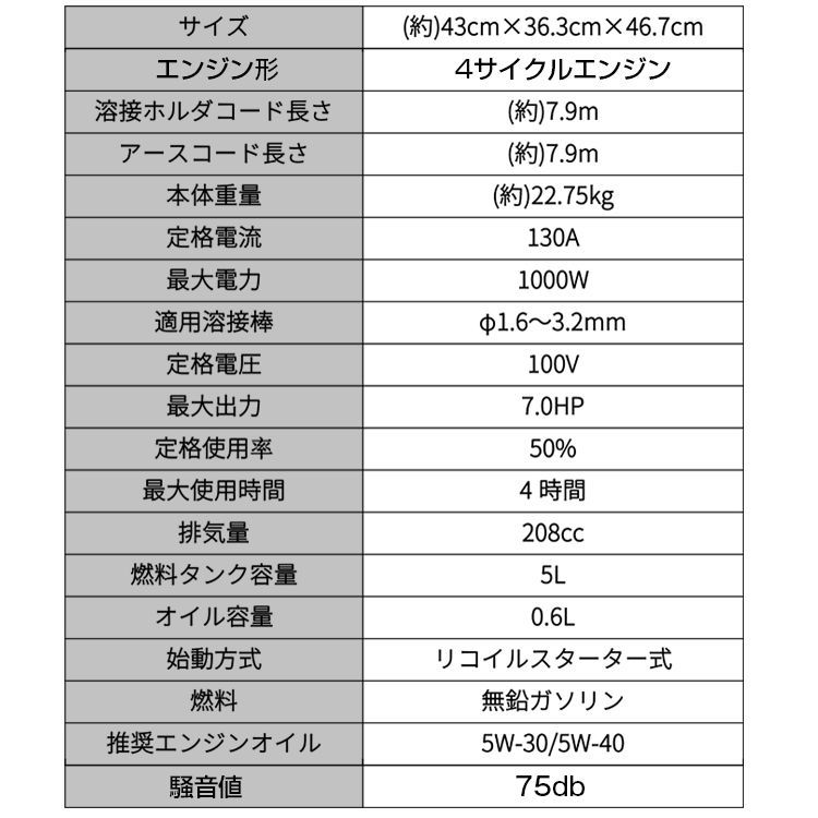 ガソリンエンジン溶接機 100V