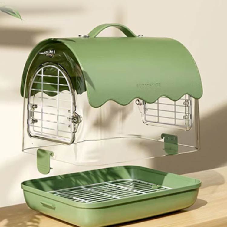 外出 インコ