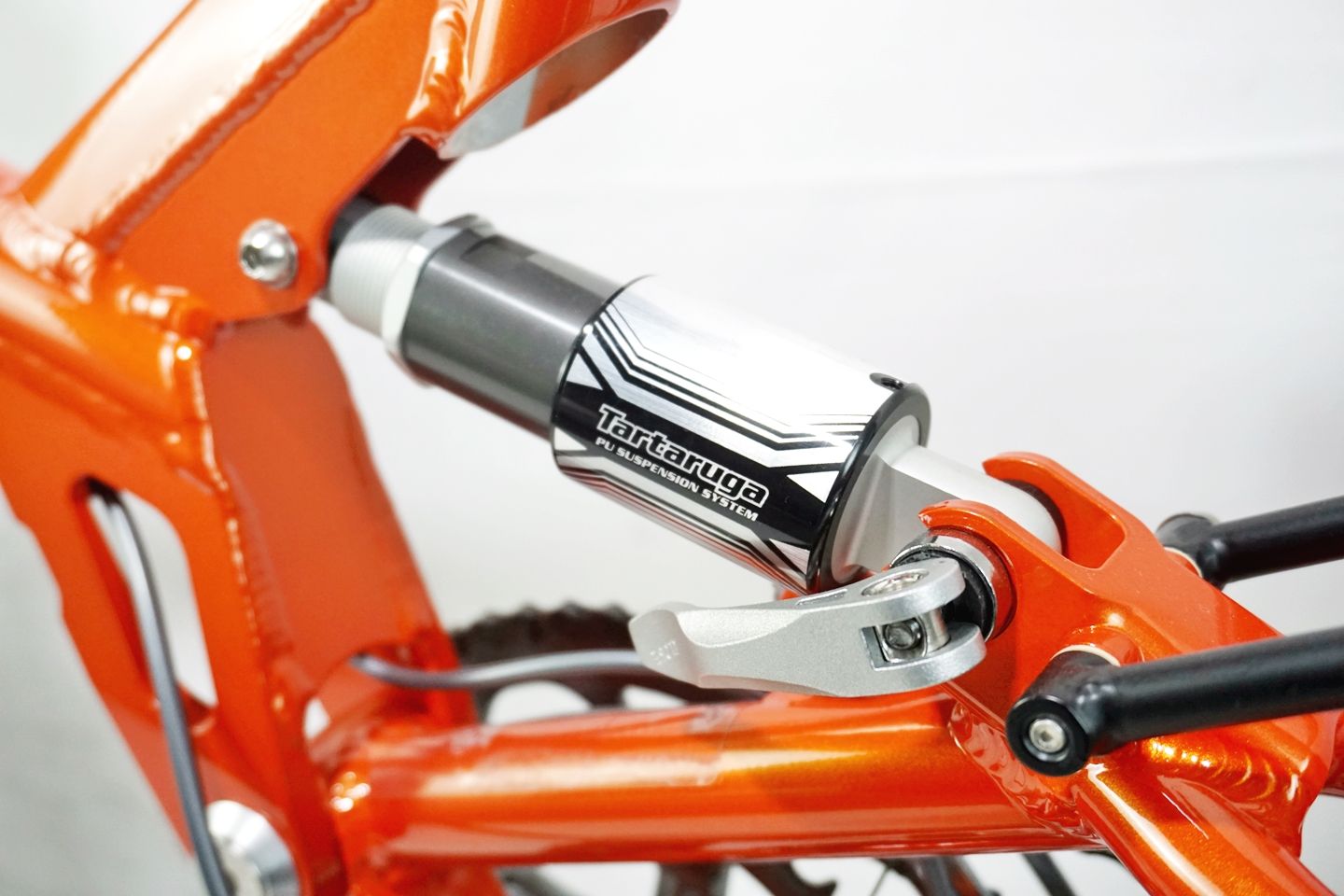 ジャンク TARTARUGA 「タルタルーガ」 TYPE SPORT 2022年モデル